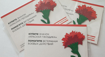 Благотворительная акция «Красная гвоздика» добрыми шагами проходит наш родной Салехард.
