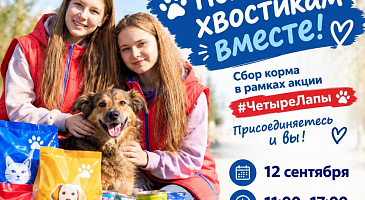 Поможем хвостикам вместе с «Движением Первых»!